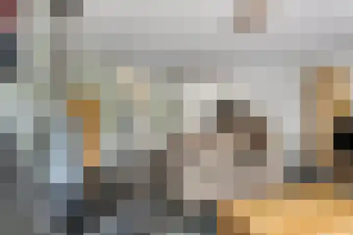 Dijkmanschans 43 Zoetermeer thumbnail 8