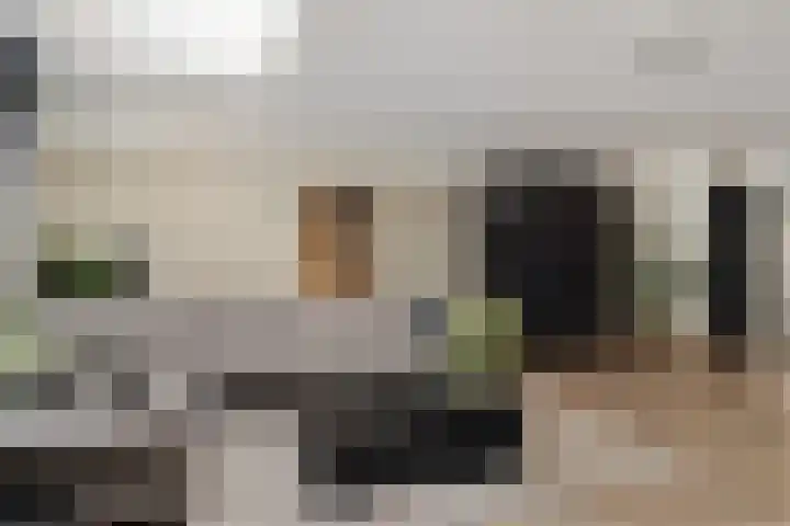Dijkmanschans 47 Zoetermeer thumbnail 12