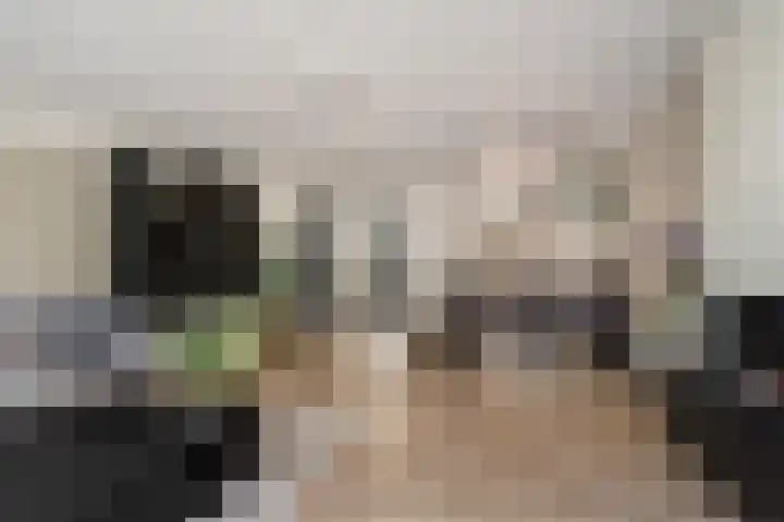 Dijkmanschans 47 Zoetermeer thumbnail 13