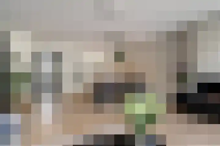 Dijkmanschans 47 Zoetermeer thumbnail 14