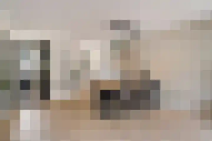 Dijkmanschans 47 Zoetermeer thumbnail 15