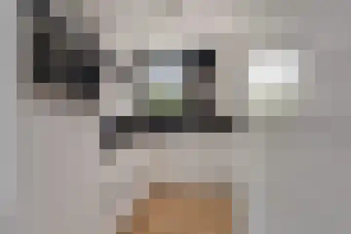 Dijkmanschans 47 Zoetermeer thumbnail 18