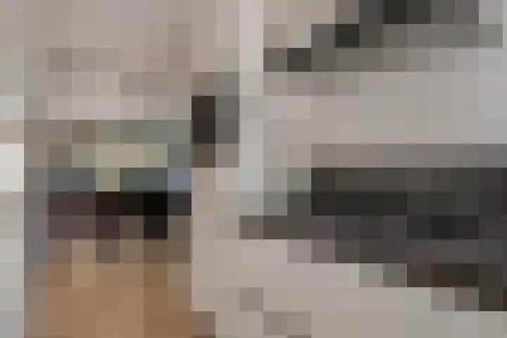 Dijkmanschans 47 Zoetermeer thumbnail 20