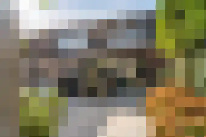 Dijkmanschans 47 Zoetermeer thumbnail 21