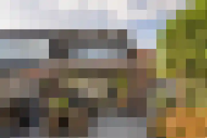 Dijkmanschans 47 Zoetermeer thumbnail 23
