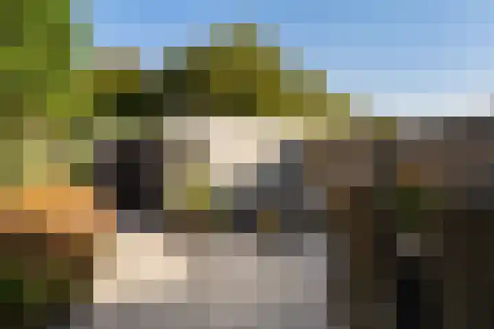 Dijkmanschans 47 Zoetermeer thumbnail 24