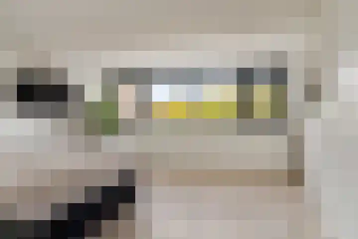 Dijkmanschans 47 Zoetermeer thumbnail 30