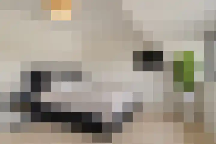 Dijkmanschans 47 Zoetermeer thumbnail 31