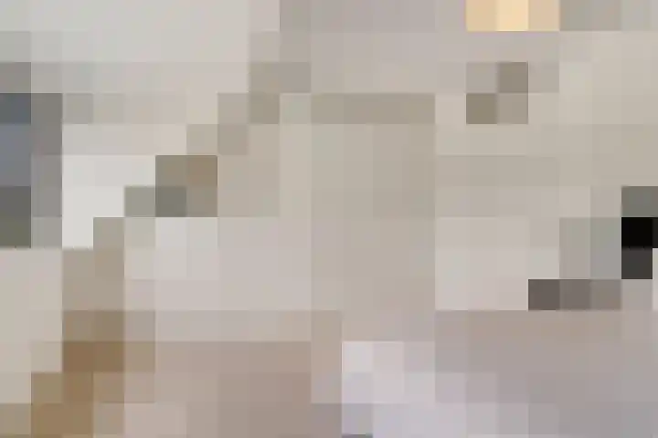 Dijkmanschans 47 Zoetermeer thumbnail 32