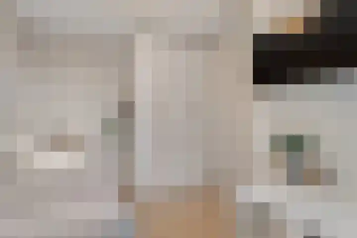 Dijkmanschans 47 Zoetermeer thumbnail 35