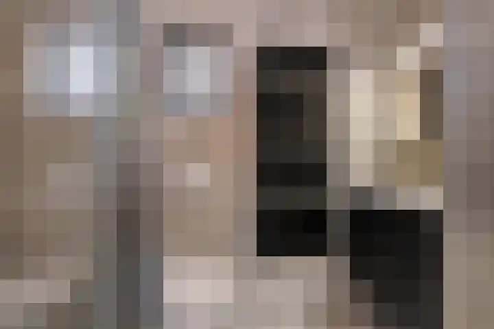 Dijkmanschans 47 Zoetermeer thumbnail 37