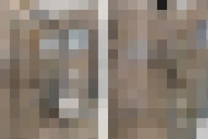 Dijkmanschans 47 Zoetermeer thumbnail 38