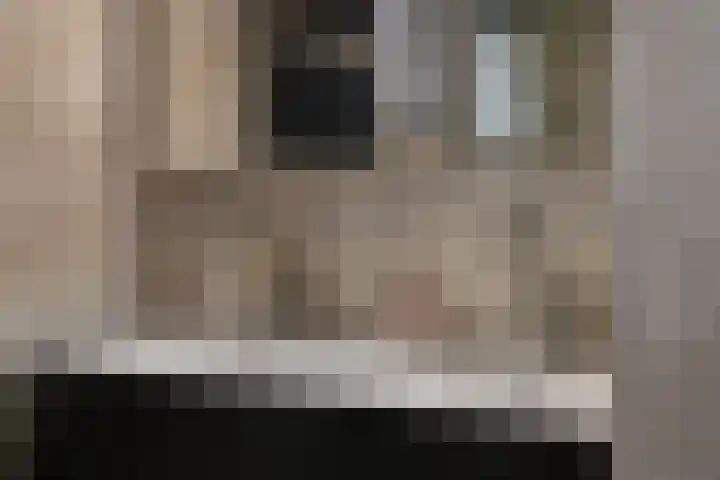 Dijkmanschans 47 Zoetermeer thumbnail 39