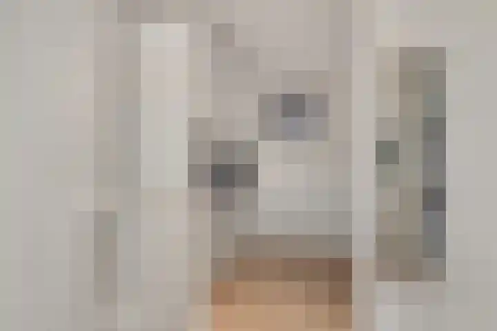 Dijkmanschans 47 Zoetermeer thumbnail 41