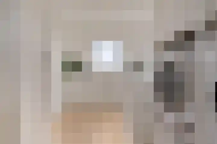 Dijkmanschans 47 Zoetermeer thumbnail 42