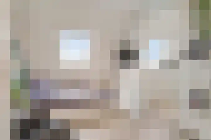 Dijkmanschans 47 Zoetermeer thumbnail 44