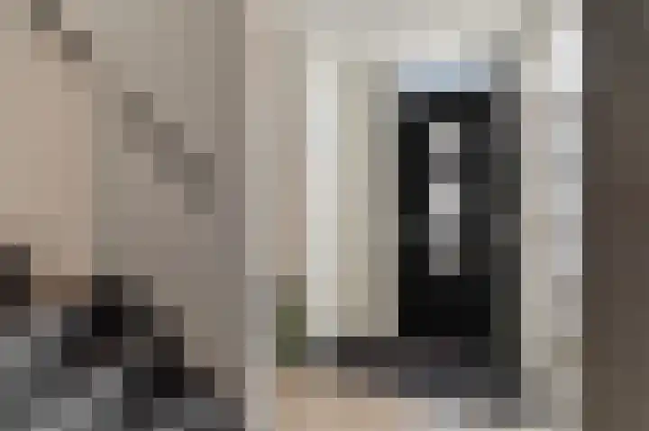 Dijkmanschans 47 Zoetermeer thumbnail 6