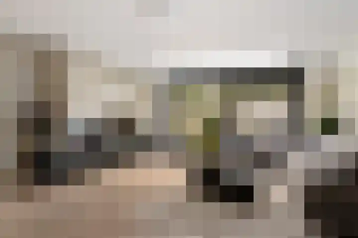 Dijkmanschans 47 Zoetermeer thumbnail 9