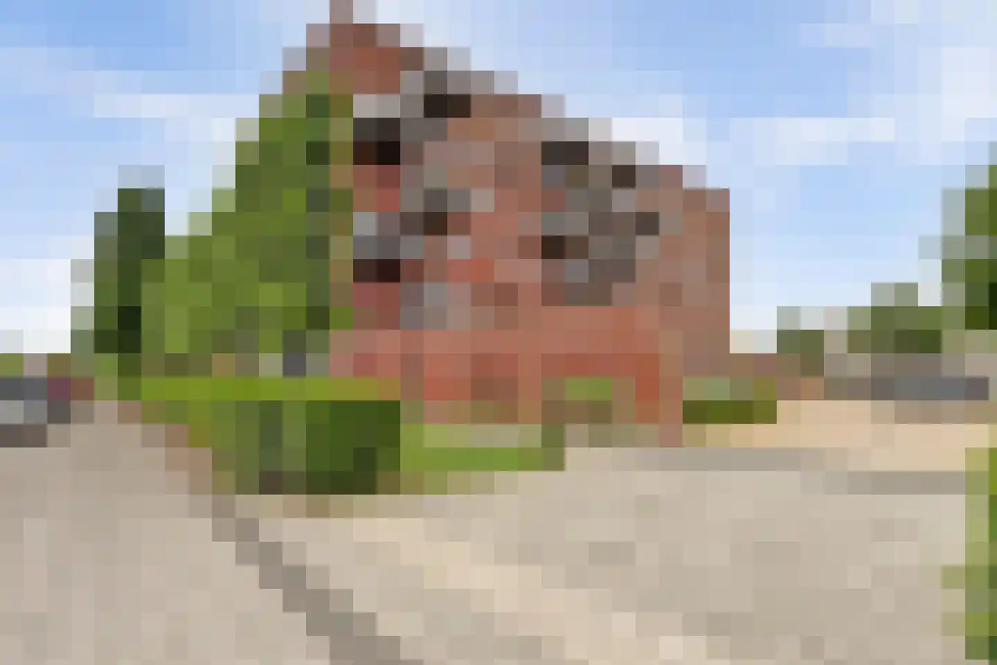 Dijkmanschans 64 in Zoetermeer