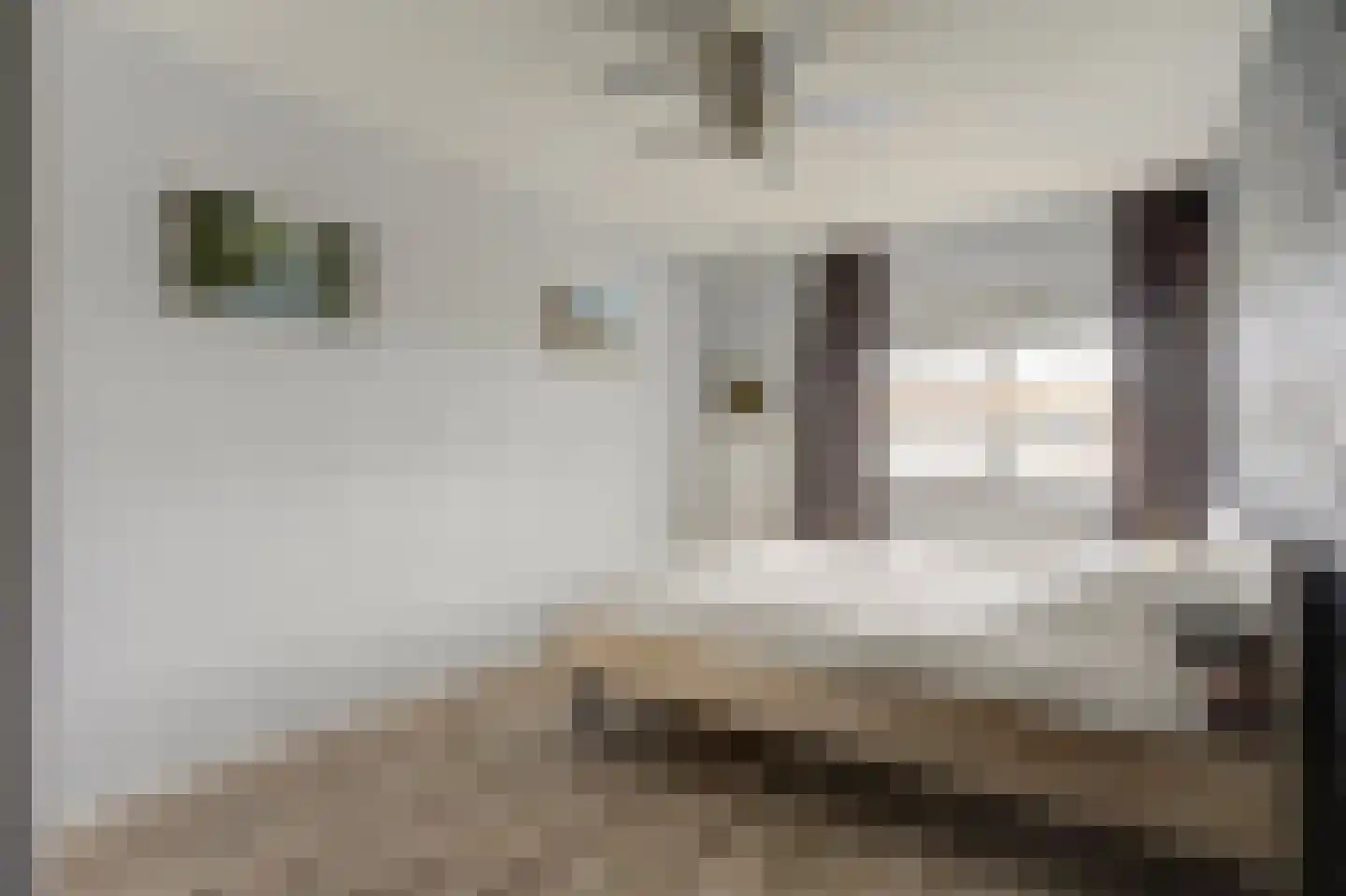 Dijkmanschans 64 Zoetermeer thumbnail 20