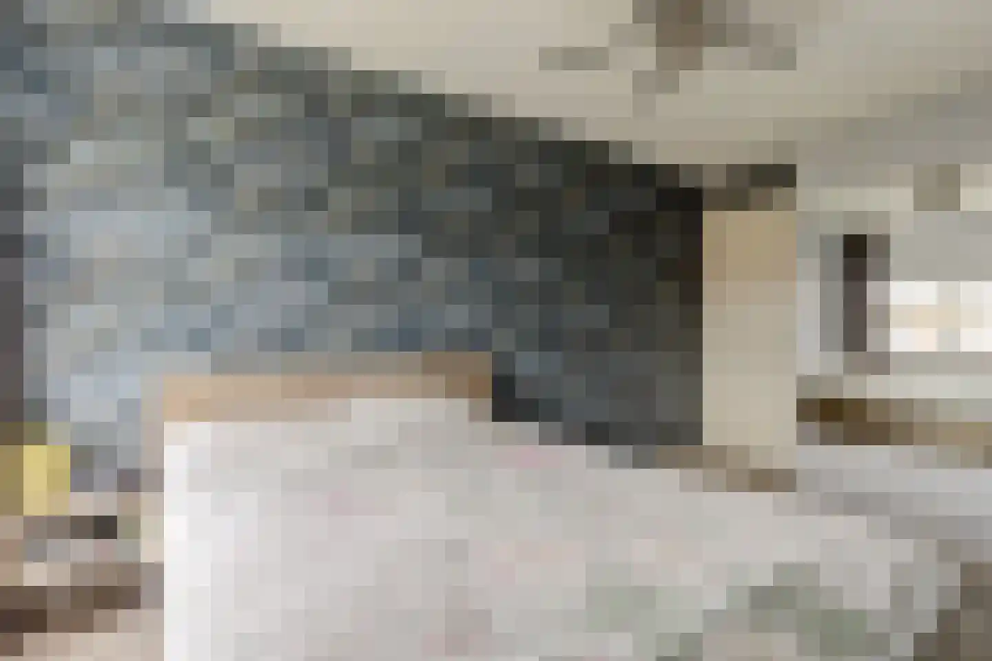 Dijkmanschans 64 Zoetermeer thumbnail 21