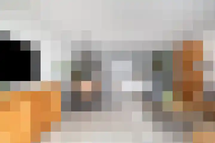 Dijkmanschans 96 Zoetermeer thumbnail 11