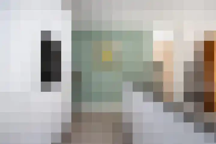 Dijkmanschans 96 Zoetermeer thumbnail 15