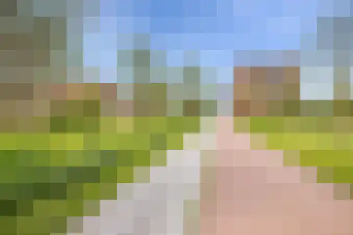 Dijkmanschans 96 Zoetermeer thumbnail 28