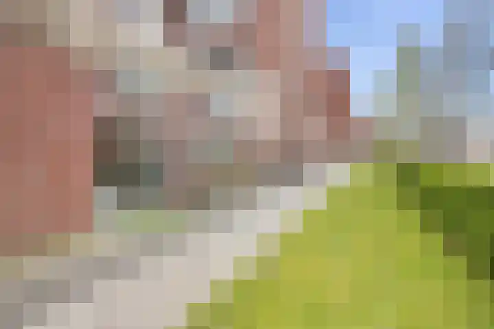 Dijkmanschans 96 Zoetermeer thumbnail 6
