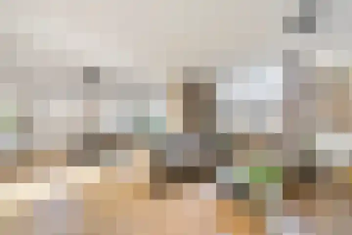 Dijkmanshof 34 Tolkamer thumbnail 11