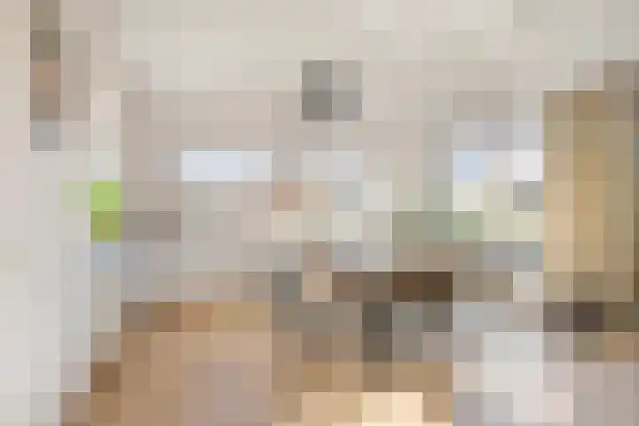 Dijkmanshof 34 Tolkamer thumbnail 12