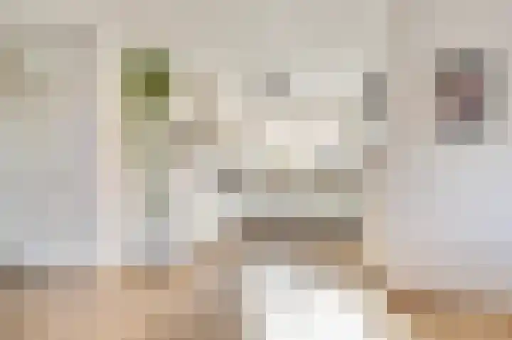 Dijkmanshof 34 Tolkamer thumbnail 13