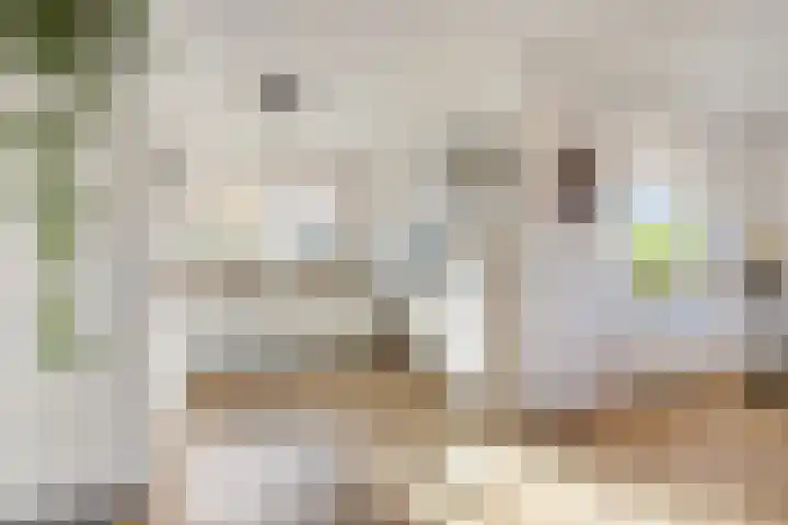 Dijkmanshof 34 Tolkamer thumbnail 14