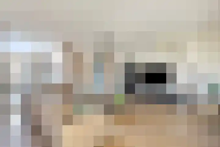 Dijkmanshof 34 Tolkamer thumbnail 18