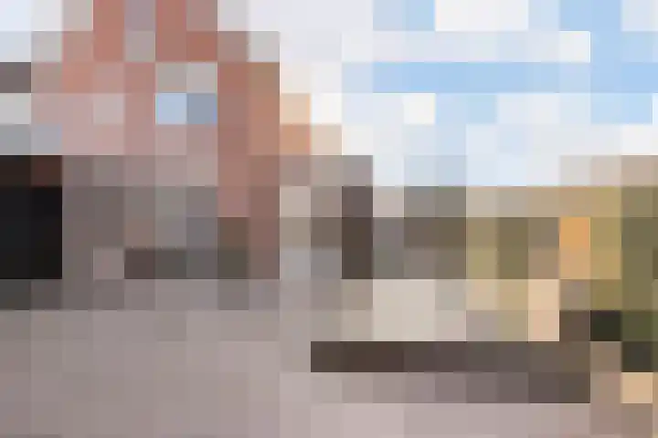 Dijkmanshof 34 Tolkamer thumbnail 23