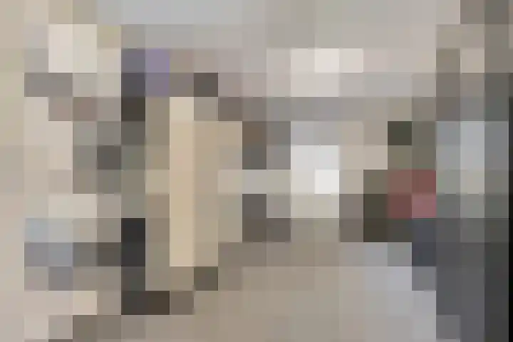 Dijkmanshof 34 Tolkamer thumbnail 26