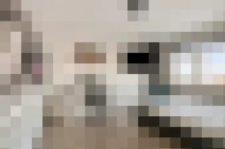 Dijkmanshof 34 Tolkamer thumbnail 33
