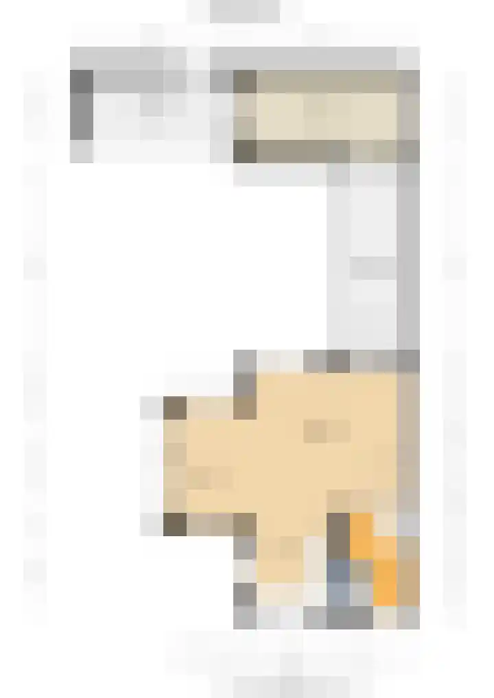 Dijkmanshof 34 Tolkamer thumbnail 39