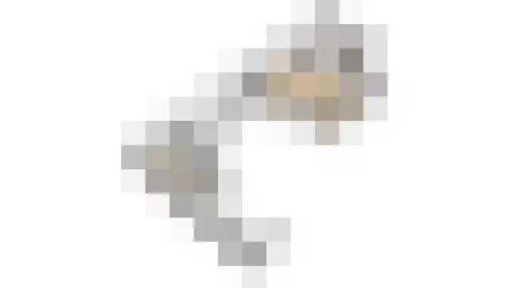 Dijkmanshof 34 Tolkamer thumbnail 40