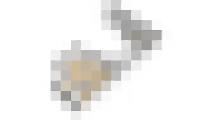 Dijkmanshof 34 Tolkamer thumbnail 41