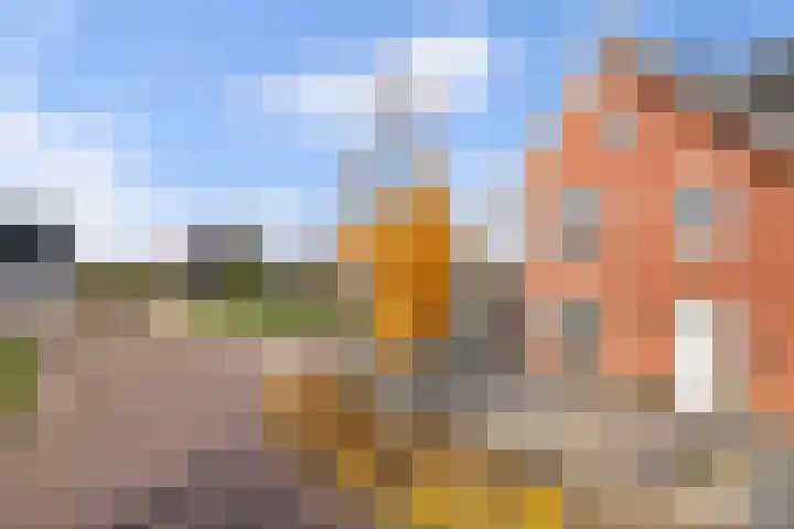 Dijkmanshof 34 Tolkamer thumbnail 6