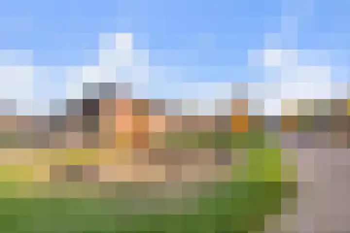 Dijkmanshof 34 Tolkamer thumbnail 8