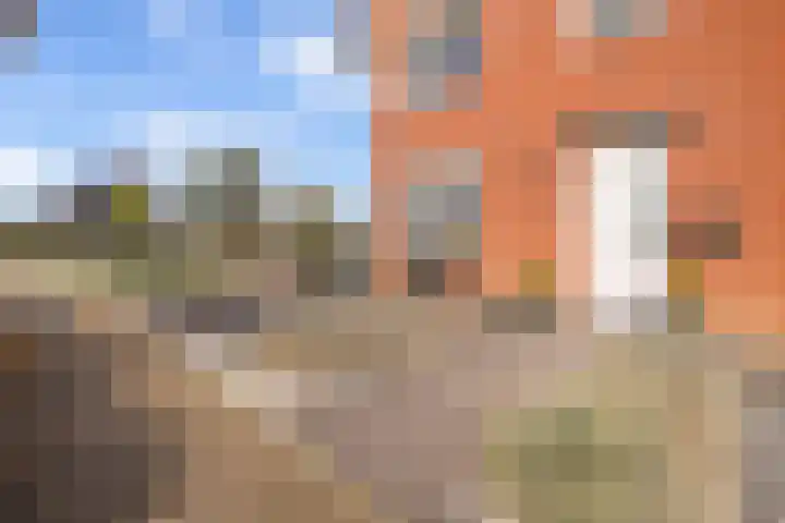 Dijkmanshof 34 Tolkamer thumbnail 9