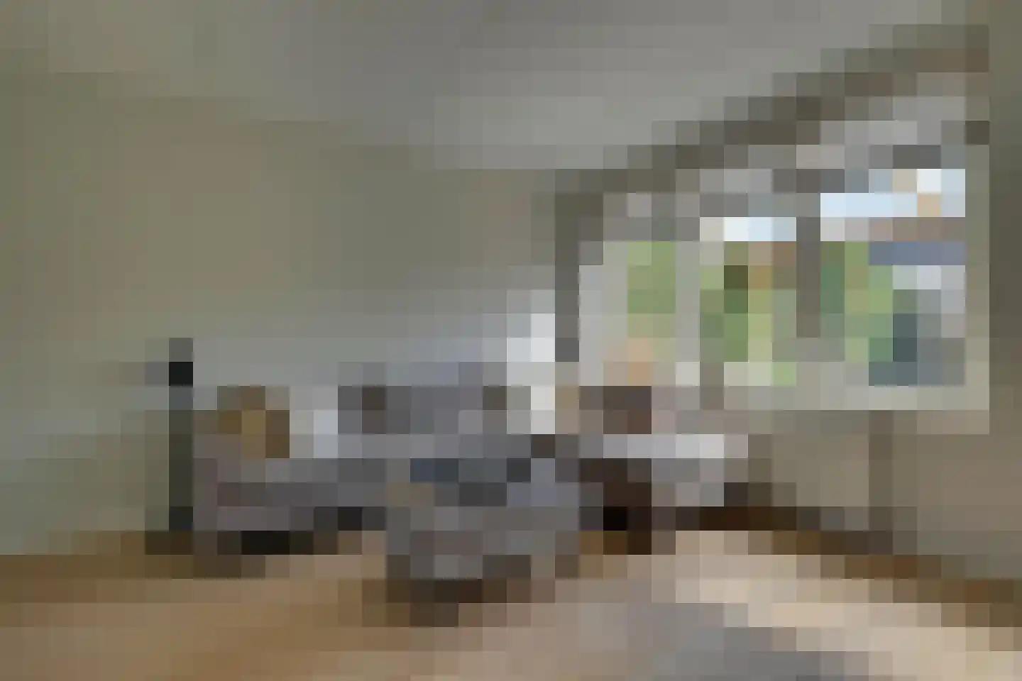 Dijkmanshof 6 Tolkamer thumbnail 10