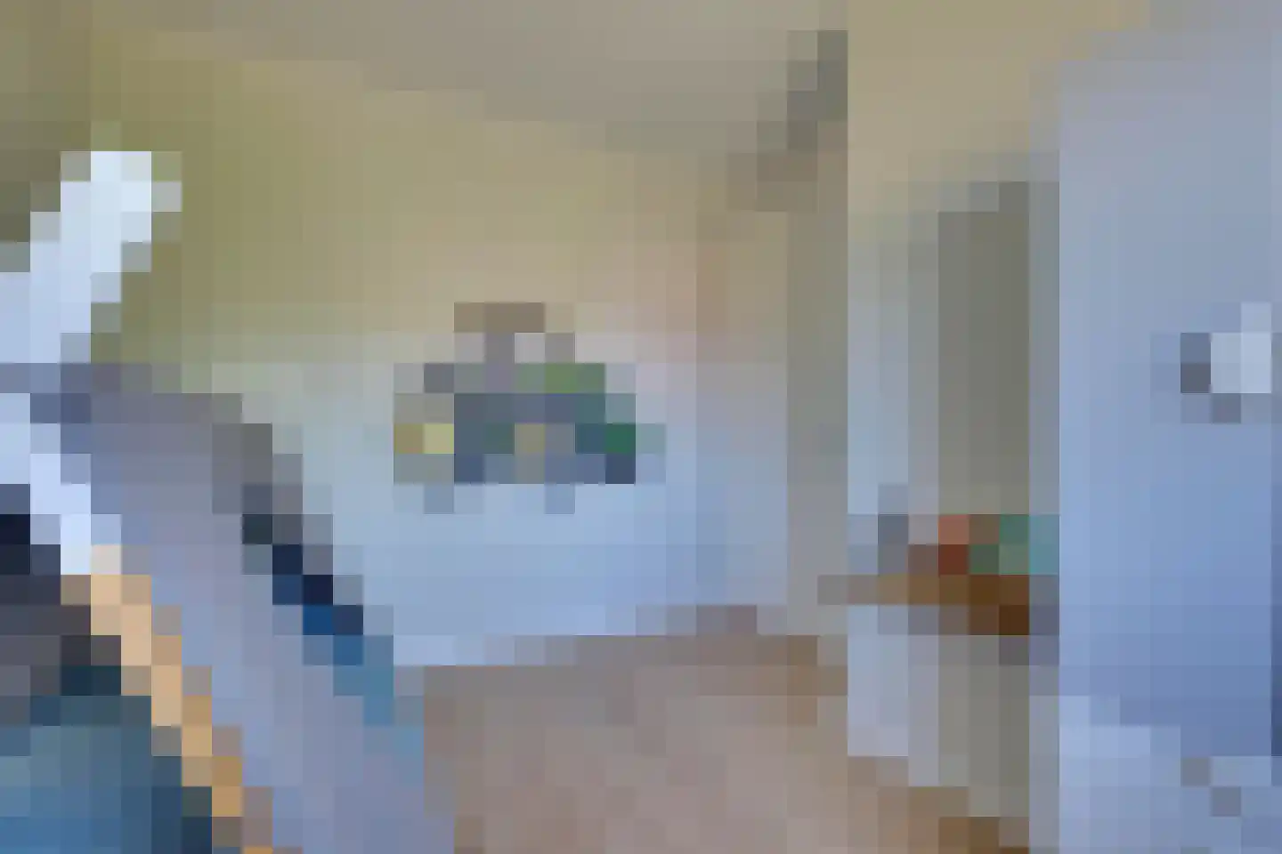 Dijkmanshof 6 Tolkamer thumbnail 14