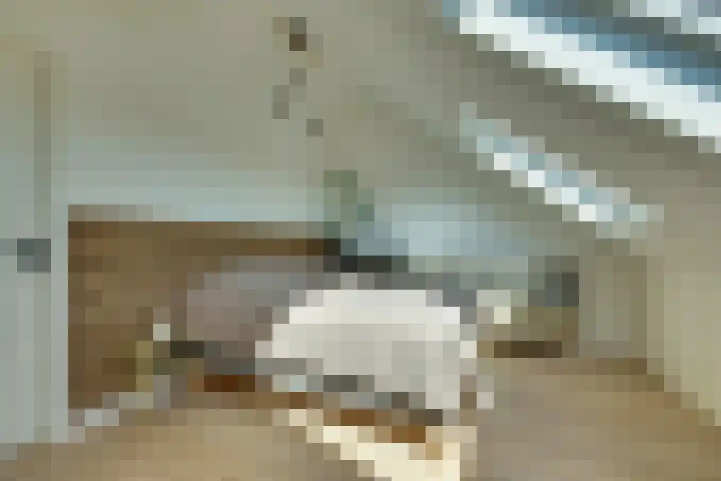 Dijkmanshof 6 Tolkamer thumbnail 24