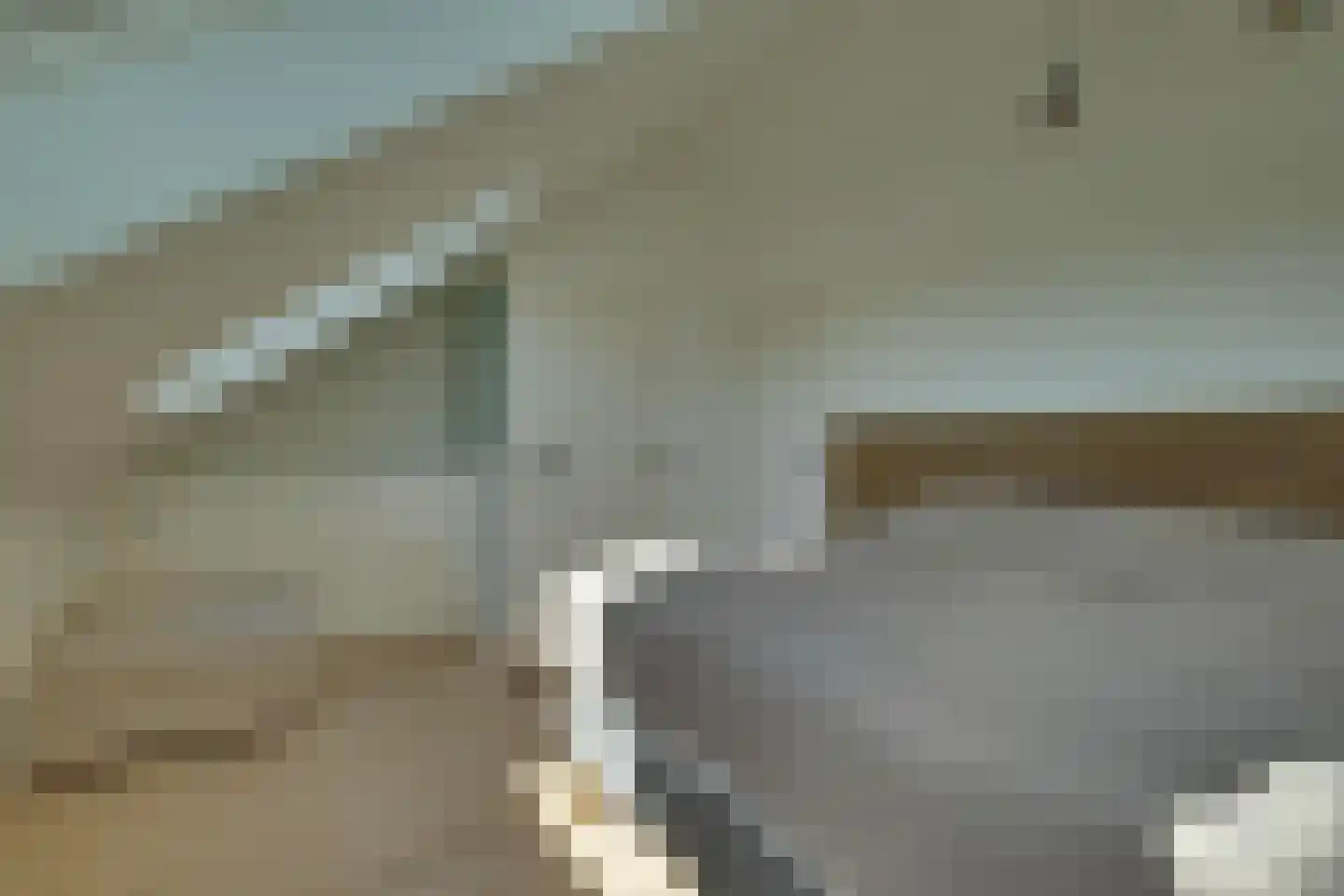 Dijkmanshof 6 Tolkamer thumbnail 25