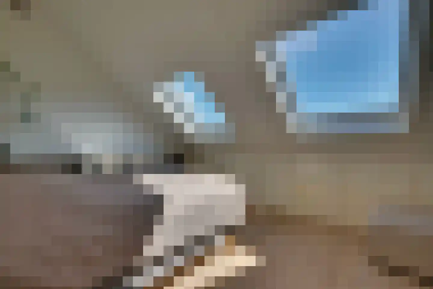 Dijkmanshof 6 Tolkamer thumbnail 26