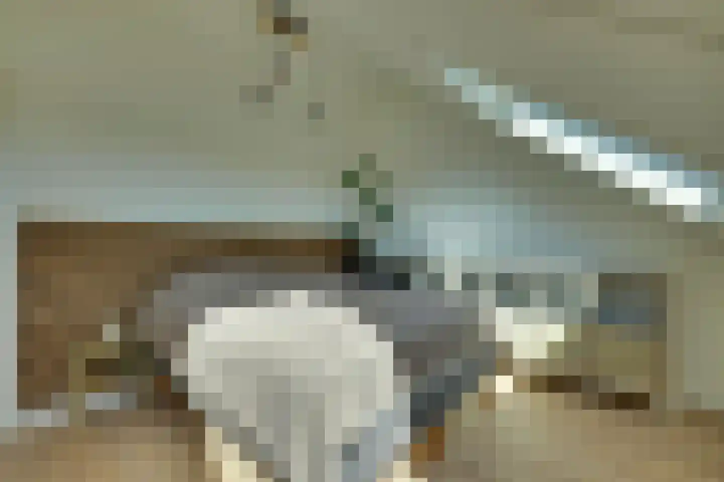 Dijkmanshof 6 Tolkamer thumbnail 27