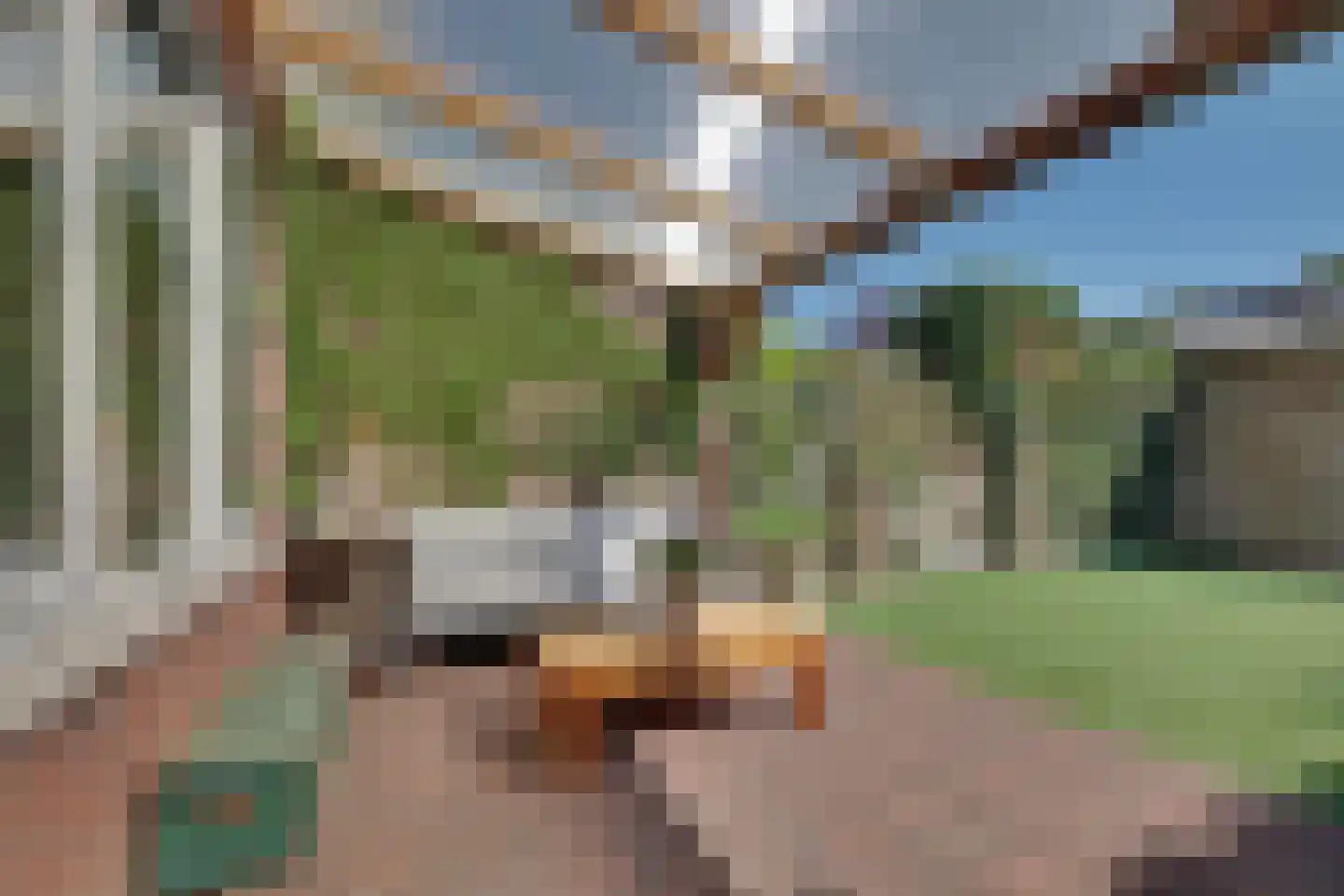 Dijkmanshof 6 Tolkamer thumbnail 4